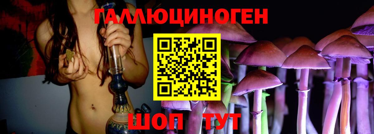 Кувандык  Псилоцибиновые грибы Cubensis  Вход с VPN 